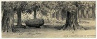 Gezicht in een bos te Lage Vuursche met een grote zwerfkei in 1880 - 1920. Bron: Het Utrechts Archief, catalogusnummer: 200914.