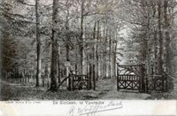 Gezicht in de Slotlaan met rijen loofbomen en een rustiek hek te Lage Vuursche (gemeente Baarn) uit het westen in 1900-1905. Bron: Het Utrechts Archief, catalogusnummer: 15107.