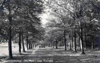 Gezicht in een laan met rijen loofbomen in het bos bij het natuurvriendenhuis Ons Honk te Lage Vuursche (gemeente Baarn). in 1946-1947. Bron: Het Utrechts Archief, catalogusnummer: 15236.