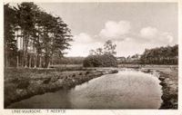 Gezicht op een meertje aan de rand van heidevelden en een bos met naaldbomen te Lage Vuursche (gemeente Baarn) in 1925-1927. Bron: Het Utrechts Archief, catalogusnummer: 15243.
