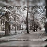Zicht op een weg/laan in het bos te Lage Vuursche in de periode 1955-1960. Bron: Archief Eemland, 0446, 4378.