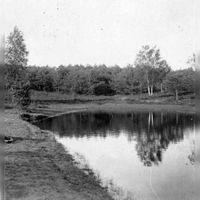 Gezicht op een meertje bij de bossen van Lage Vuursche (gemeente Baarn) in 1910-1915. Bron: Het Utrechts Archief, catalogusnummer: 502417.