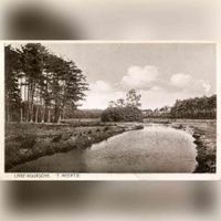 Gezicht op een meertje aan de rand van heidevelden en een bos met naaldbomen te Lage Vuursche (gemeente Baarn) in 1925-1927. Bron: Het Utrechts Archief, catalogusnummer: 15243.