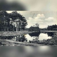 Gezicht op een meertje aan de rand van heidevelden en een bos met naaldbomen te Lage Vuursche (gemeente Baarn). In de periode 1930-1935. Bron: Het Utrechts Archief, catalogusnummer: 15245.