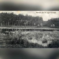 Gezicht op een meertje aan de rand van een bos met naaldbomen te Lage Vuursche (gemeente Baarn) in de periode 1915-1920. Bron: Het Utrechts Archief, catalogusnummer: 15247.